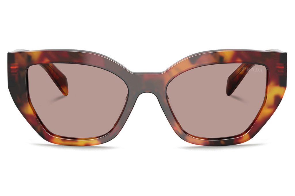 Prada - PR A09SF Sunglasses Poppy Tortoise with Light Purple Brown Lenses (22A20I)