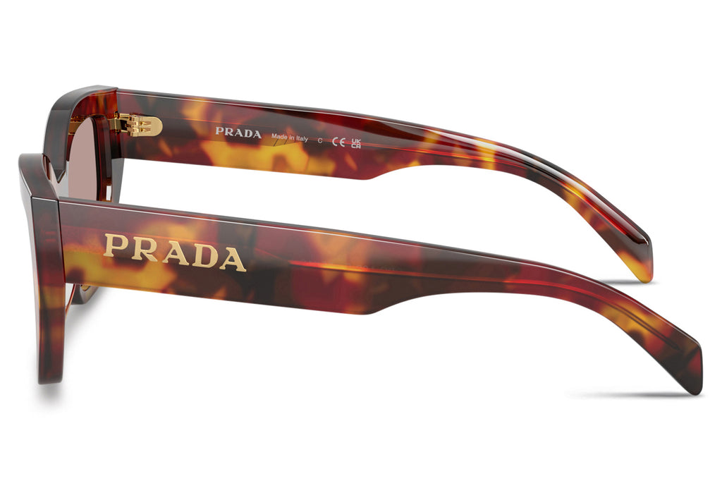 Prada - PR A09SF Sunglasses Poppy Tortoise with Light Purple Brown Lenses (22A20I)
