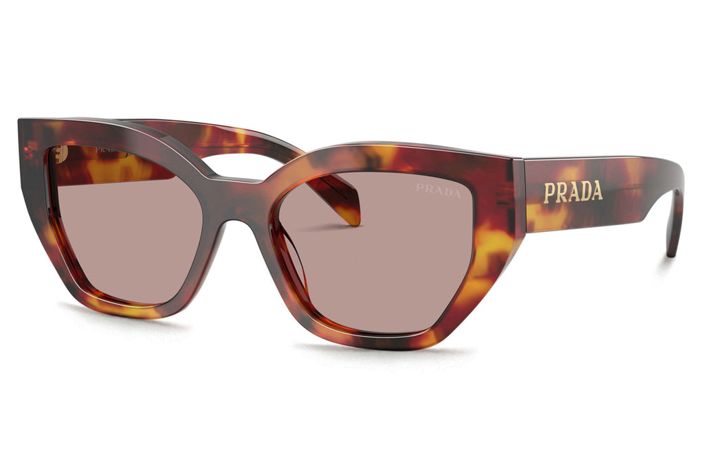 Prada - PR A09SF Sunglasses Poppy Tortoise with Light Purple Brown Lenses (22A20I)