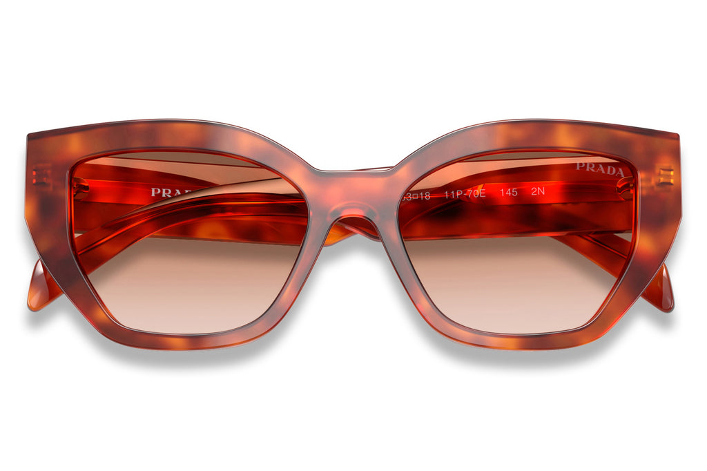 Prada - PR A09S Sunglasses | Specs CollectiveCognac Tortoise with Brown Gradient Lenses (11P70E)