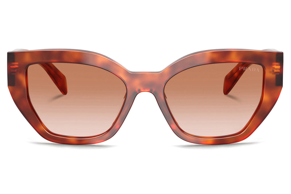 Prada - PR A09S Sunglasses | Specs CollectiveCognac Tortoise with Brown Gradient Lenses (11P70E)