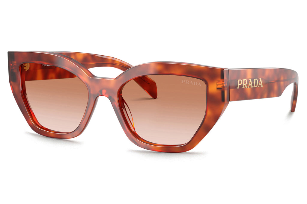 Prada - PR A09S Sunglasses | Specs CollectiveCognac Tortoise with Brown Gradient Lenses (11P70E)