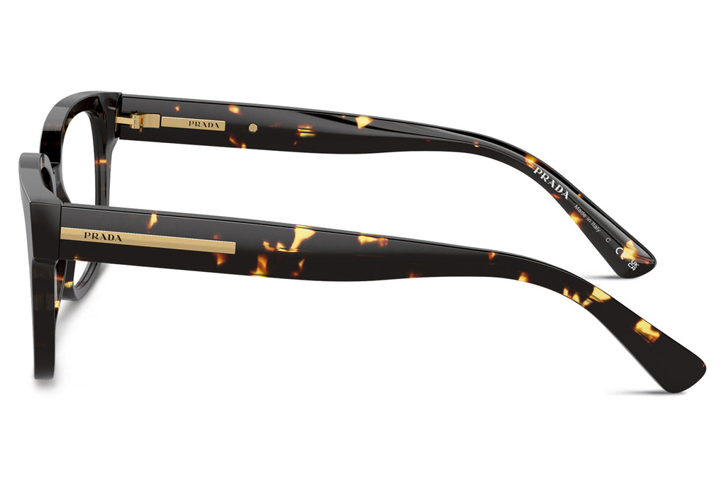 Prada - PR A09V Eyeglasses Havana Black/Yellow (16O1O1)
