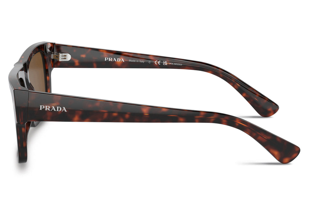 Prada - PR A10SF Sunglasses Havana with Brown Polar Lenses (17N01D)