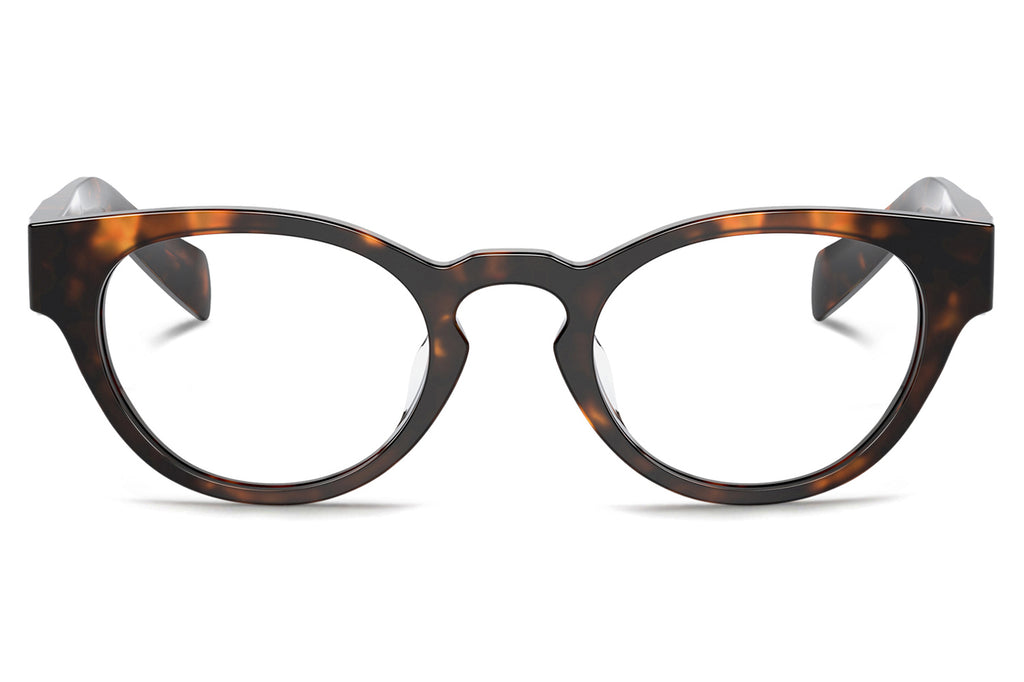Prada - PR A11VD (Low Bridge Fit) Eyeglasses Honey Tortoise (14L1O1)