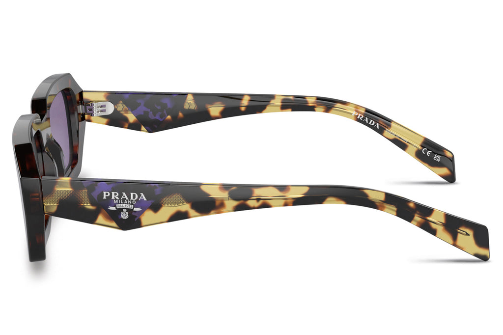 Prada - PR A12S Sunglasses Havana with Violet Mirror Silver Internal Lenses (17N50B)