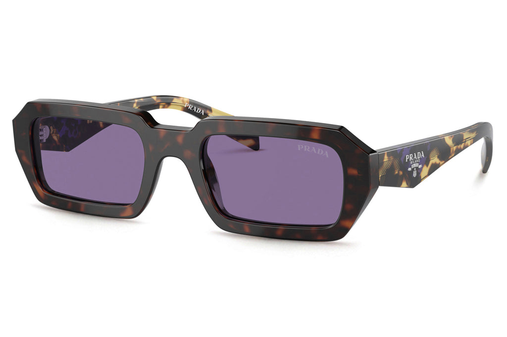 Prada - PR A12S Sunglasses Havana with Violet Mirror Silver Internal Lenses (17N50B)