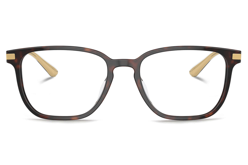 Prada - PR A12VD (Low Bridge Fit) Eyeglasses Briar Tortoise (16N1O1)