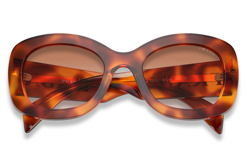 Prada - PR A13S Sunglasses Cognac Tortoise with Cognac Sfumato Ninfea Lenses (18R70E)