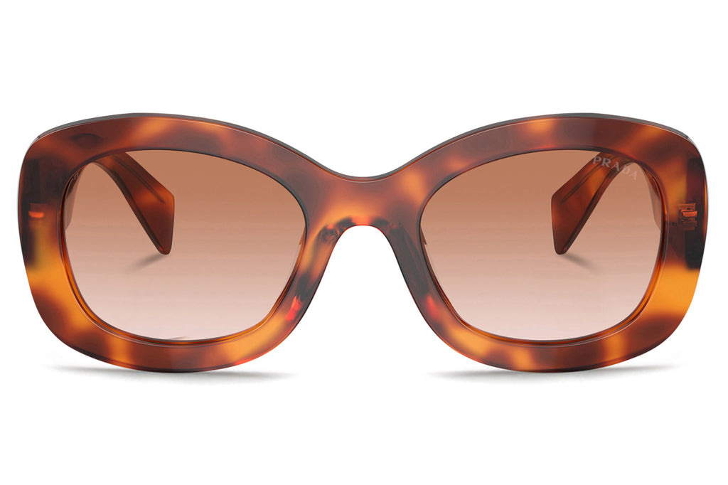 Prada - PR A13S Sunglasses Cognac Tortoise with Cognac Sfumato Ninfea Lenses (18R70E)