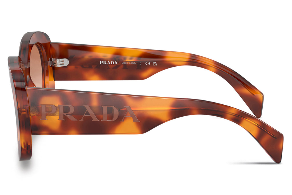Prada - PR A13S Sunglasses Cognac Tortoise with Cognac Sfumato Ninfea Lenses (18R70E)