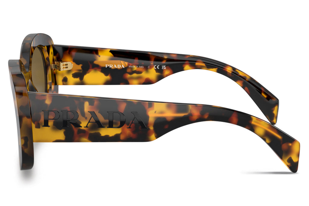Prada - PR A13S Sunglasses Honey Tortoise with Dark Brown Lenses (VAU01T)
