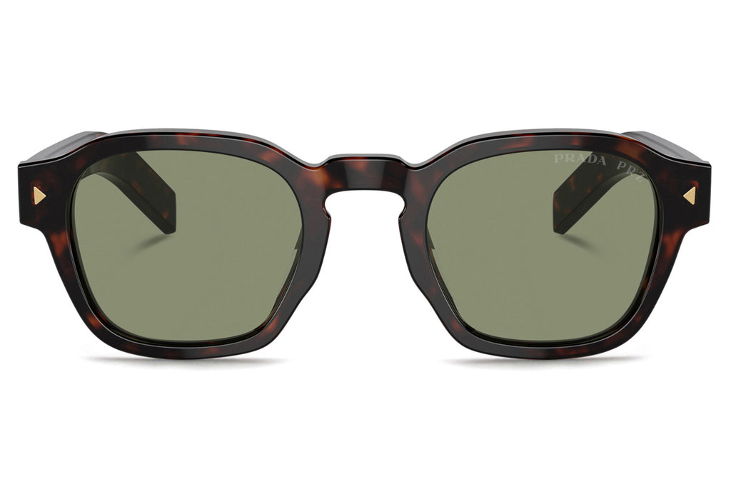 Prada -PR A16SF Sunglasses Radica Tortoise with Green Polar Lenses (17N20G)
