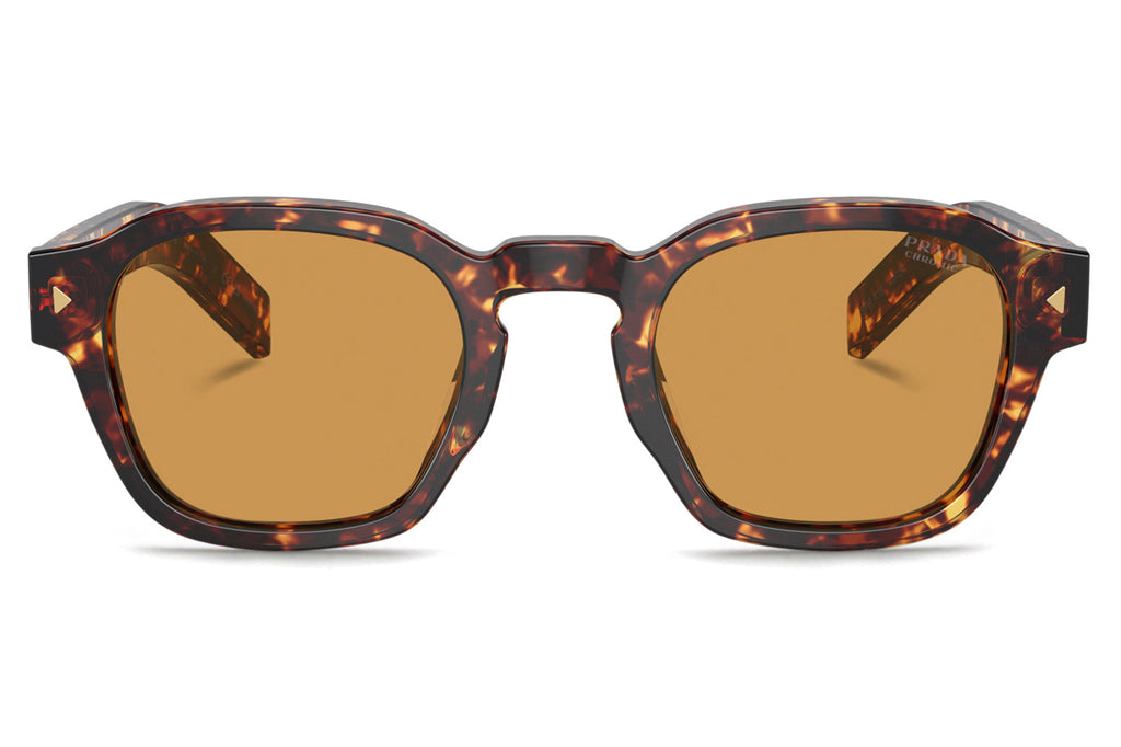 Prada -PR A16S Sunglasses Magma Tortoise with Light Brown Photochromic Lenses (14O60F)