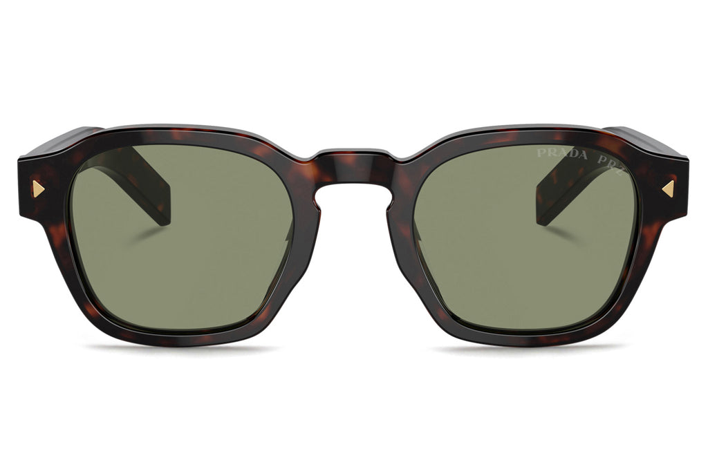 Prada -PR A16S Sunglasses Radica Tortoise with Green Polar Lenses (17N20G)