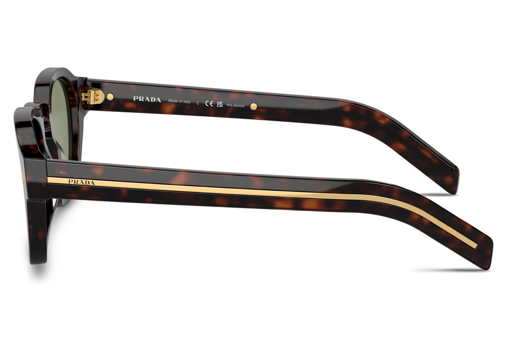 Prada -PR A16S Sunglasses Radica Tortoise with Green Polar Lenses (17N20G)