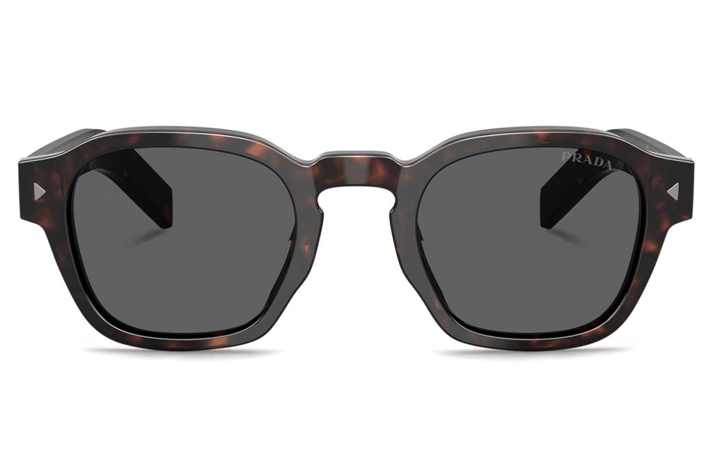 Prada -PR A16S Sunglasses Root Tortoise with Dark Grey Lenses (17N731)