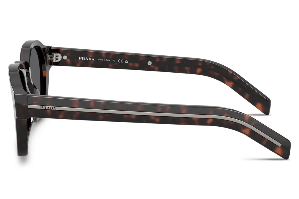Prada -PR A16S Sunglasses Root Tortoise with Dark Grey Lenses (17N731)