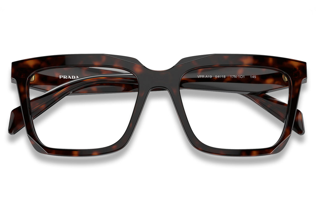 Prada - PR A19V Eyeglasses Root Tortoise (17N1O1)