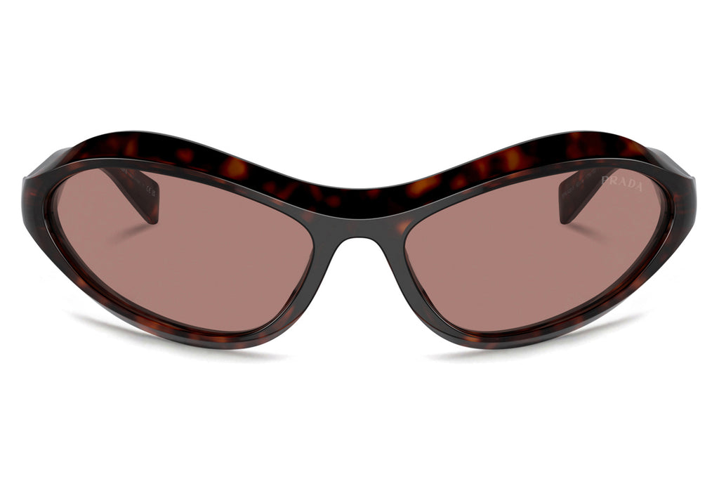Prada - PR A20SF Sunglasses Root Tortoise with Light Brown Lenses (17N10D)
