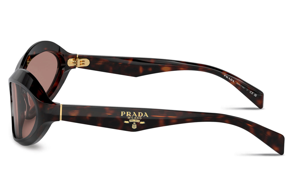 Prada - PR A20SF Sunglasses Root Tortoise with Light Brown Lenses (17N10D)