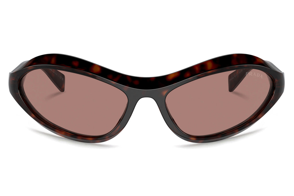 Prada - PR A20S Sunglasses Root Tortoise with Light Brown Lenses (17N10D)