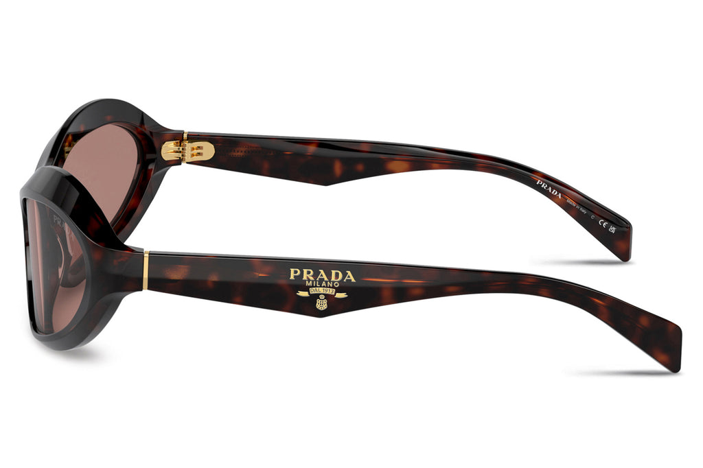 Prada - PR A20S Sunglasses Root Tortoise with Light Brown Lenses (17N10D)
