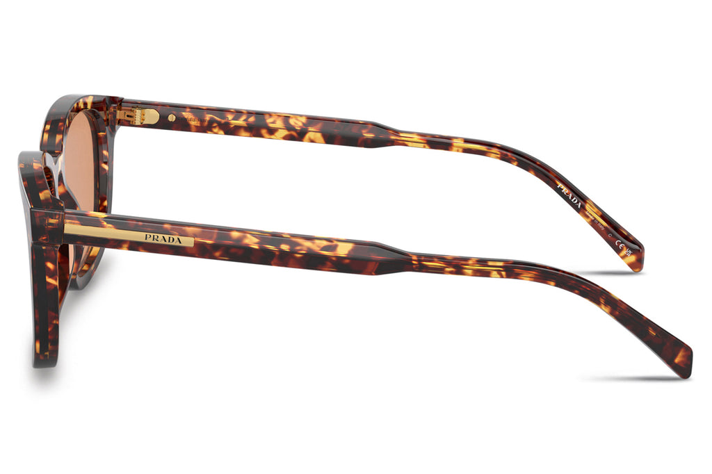 Prada - PR A21SF Sunglasses Magma Tortoise with Orange Lenses (14O07V)