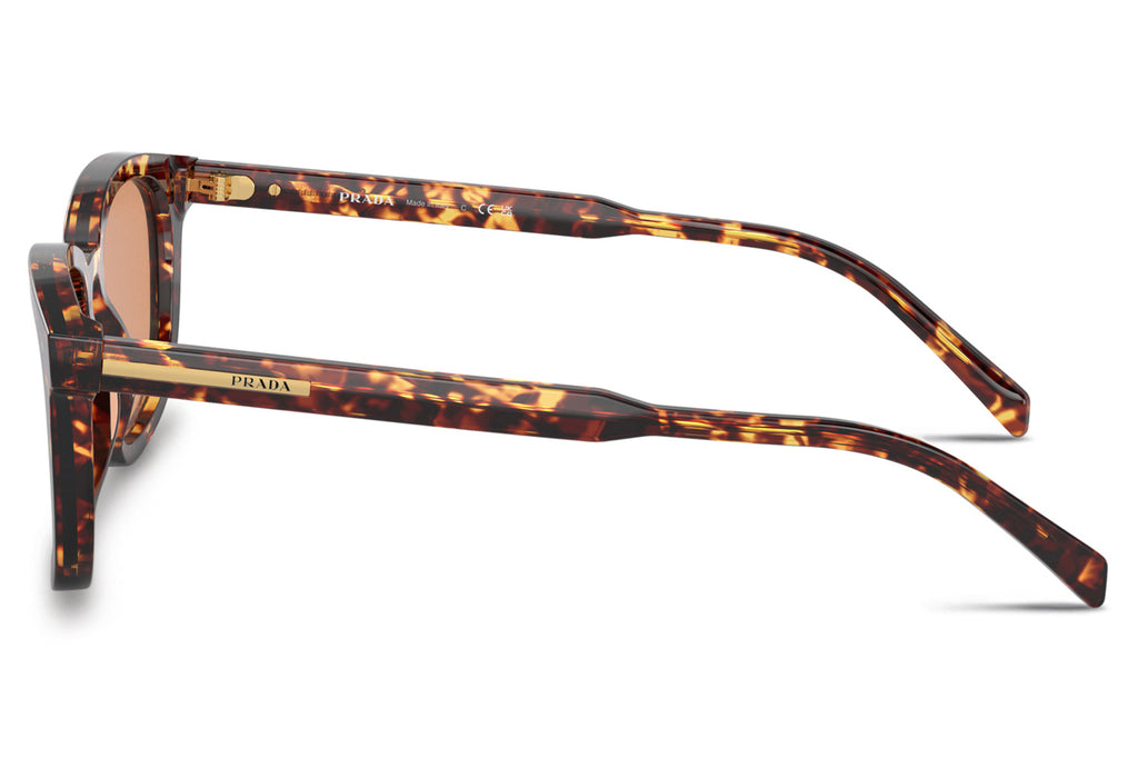 Prada - PR A21S Sunglasses Magma Tortoise with Orange Lenses (14O07V)