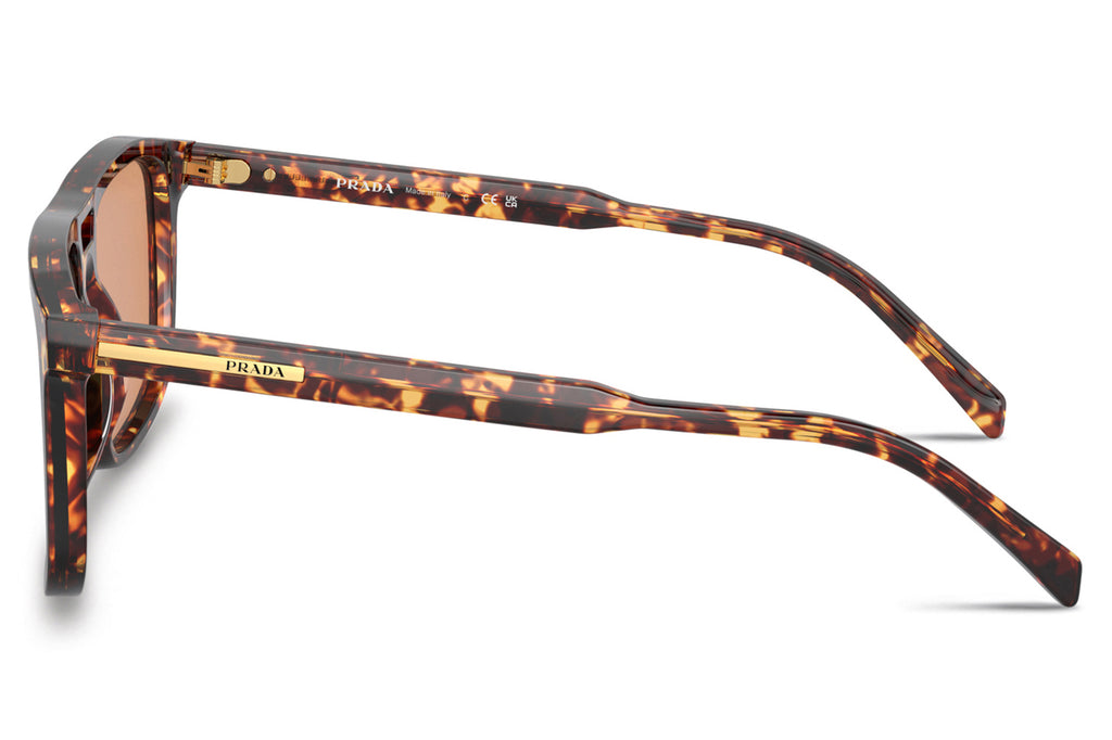 Prada - PR A22SF Sunglasses Magma Tortoise with Orange Lenses (14O07V)