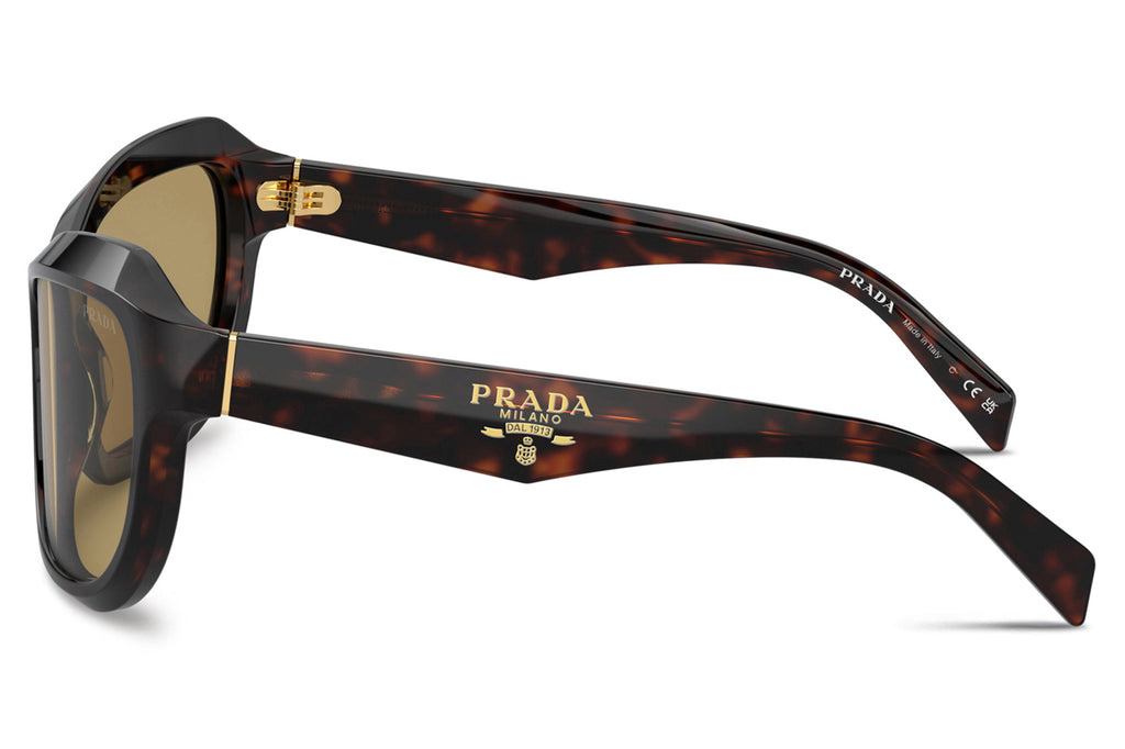 Prada - PR A27S Sunglasses Radica Tortoise with Green Olive Lenses (17N70G)