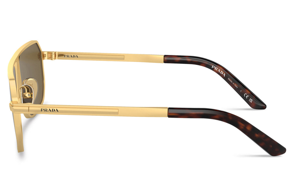 Prada - PR A53S Sunglasses Matte Gold with Dark Brown Lenses (1BK01T)