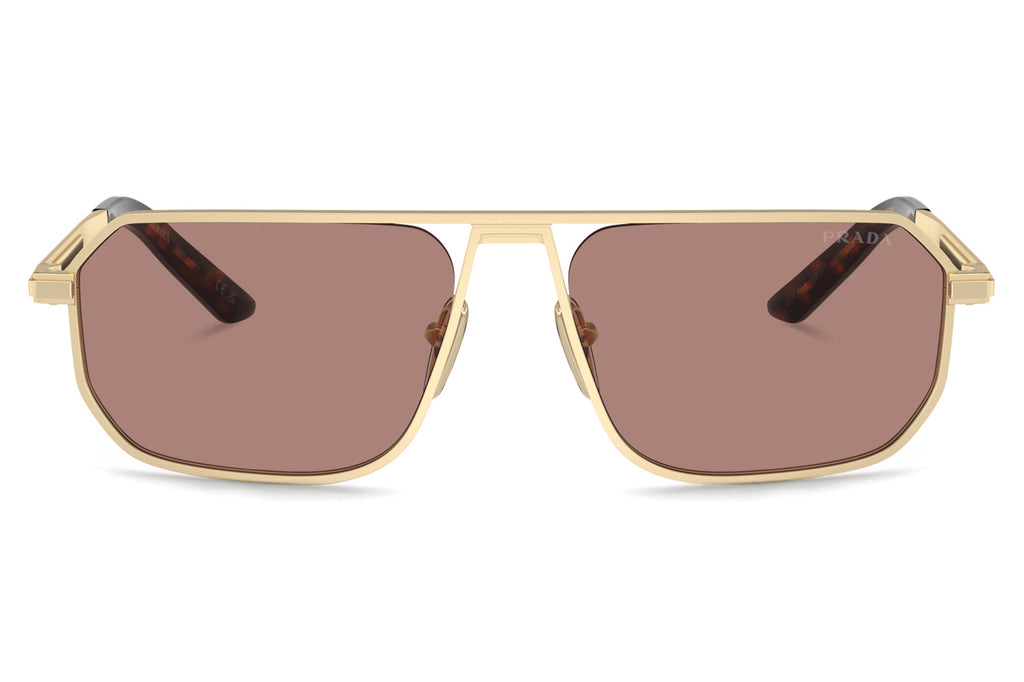 Prada - PR A53S Sunglasses Matte Pale Gold with Light Brown Lenses (VAF10D)