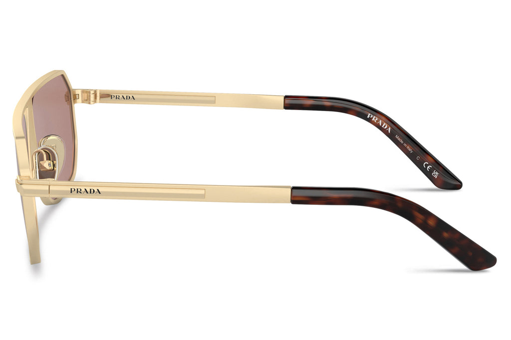 Prada - PR A53S Sunglasses Matte Pale Gold with Light Brown Lenses (VAF10D)