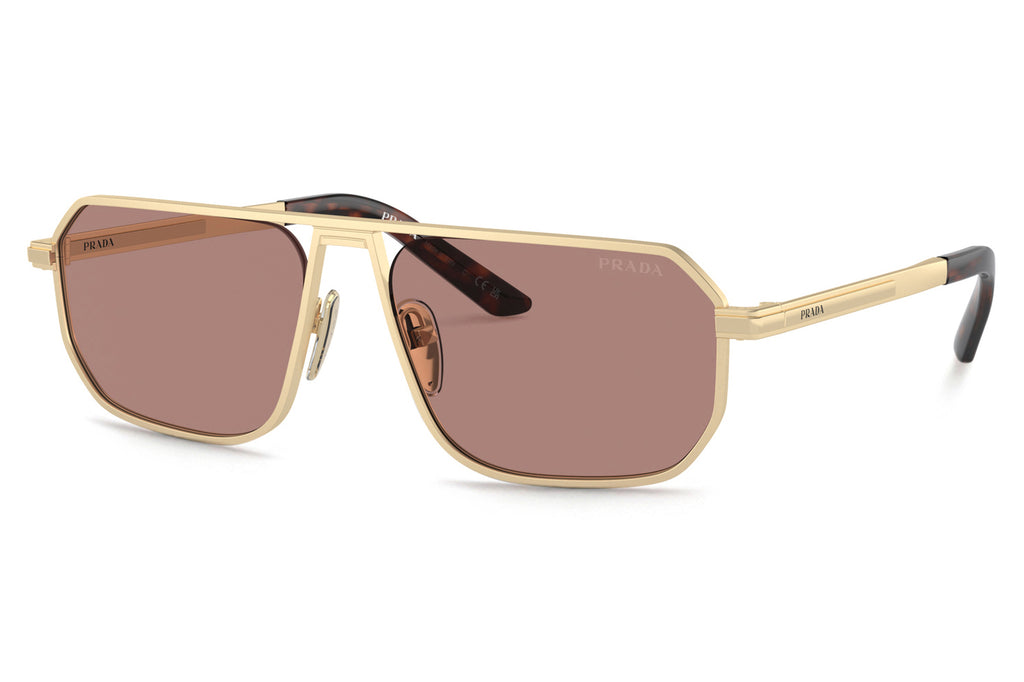 Prada - PR A53S Sunglasses Matte Pale Gold with Light Brown Lenses (VAF10D)
