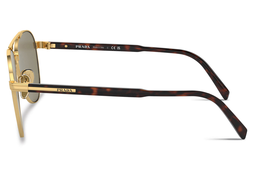 Prada - PR A58S Sunglasses Gold with Light Brown Lenses (5AK90F)