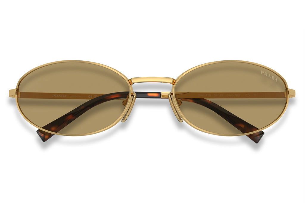 Prada - PR A59S Sunglasses Gold with Green Olive Lenses (5AK70G)