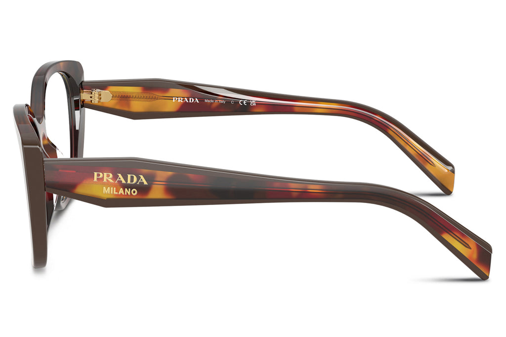 Prada - PR B04VF (Low Bridge Fit) Eyeglasses Poppy Tortoise/Bordeaux (22A1O1)