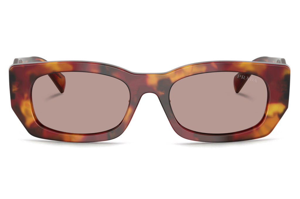 Prada - PR B05SF Sunglasses Poppy Tortoise with Light Purple Brown Lenses (22A20I)