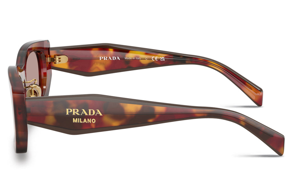 Prada - PR B05SF Sunglasses Poppy Tortoise with Light Purple Brown Lenses (22A20I)