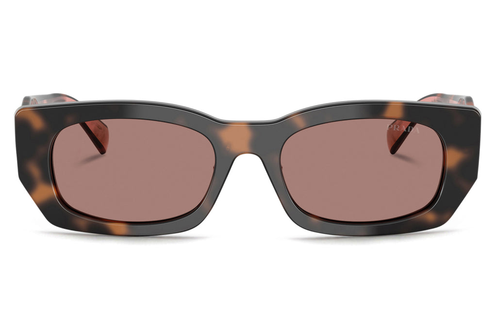 Prada - PR B05SF Sunglasses Mauve Tortoise with Light Brown Lenses (23A60B)