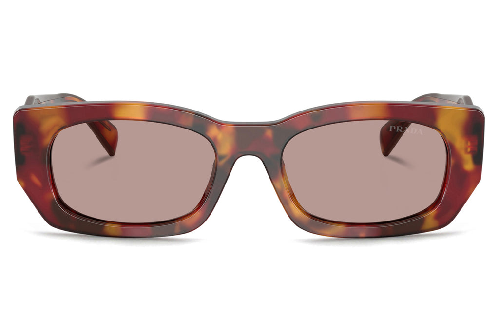 Prada - PR B05S Sunglasses Poppy Tortoise with Light Purple Brown Lenses (22A20I)
