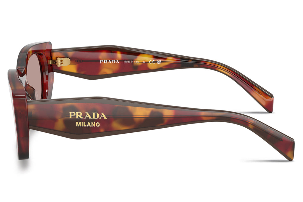 Prada - PR B05S Sunglasses Poppy Tortoise with Light Purple Brown Lenses (22A20I)