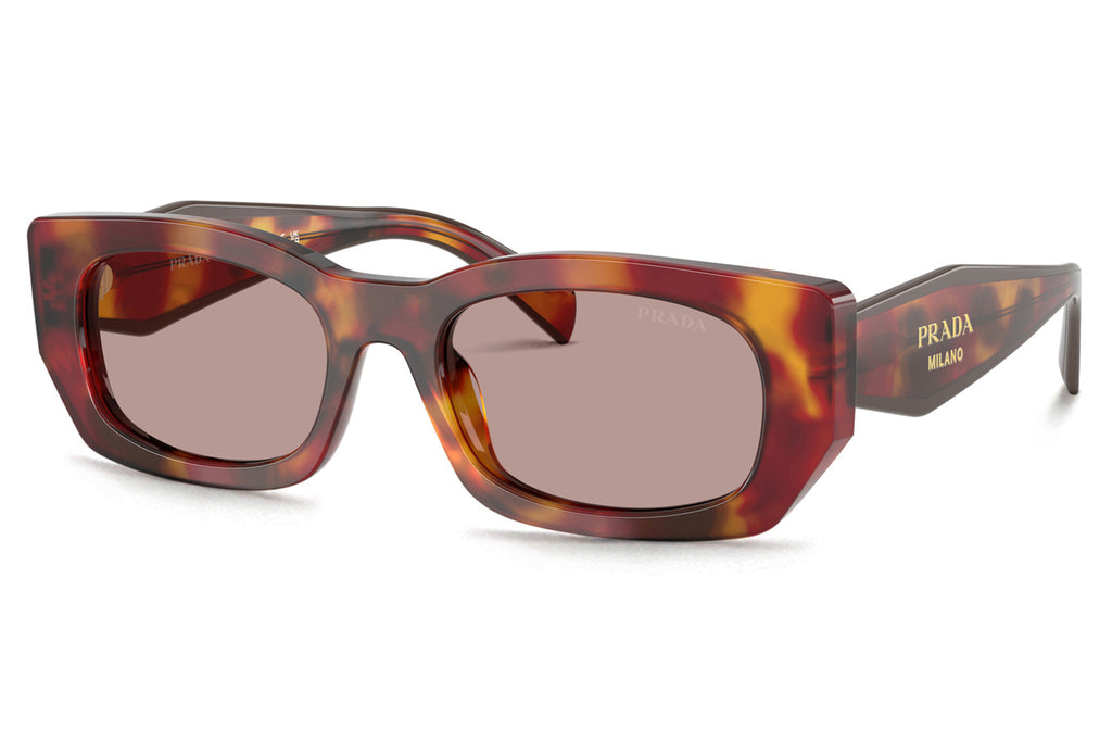 Prada - PR B05S Sunglasses Poppy Tortoise with Light Purple Brown Lenses (22A20I)