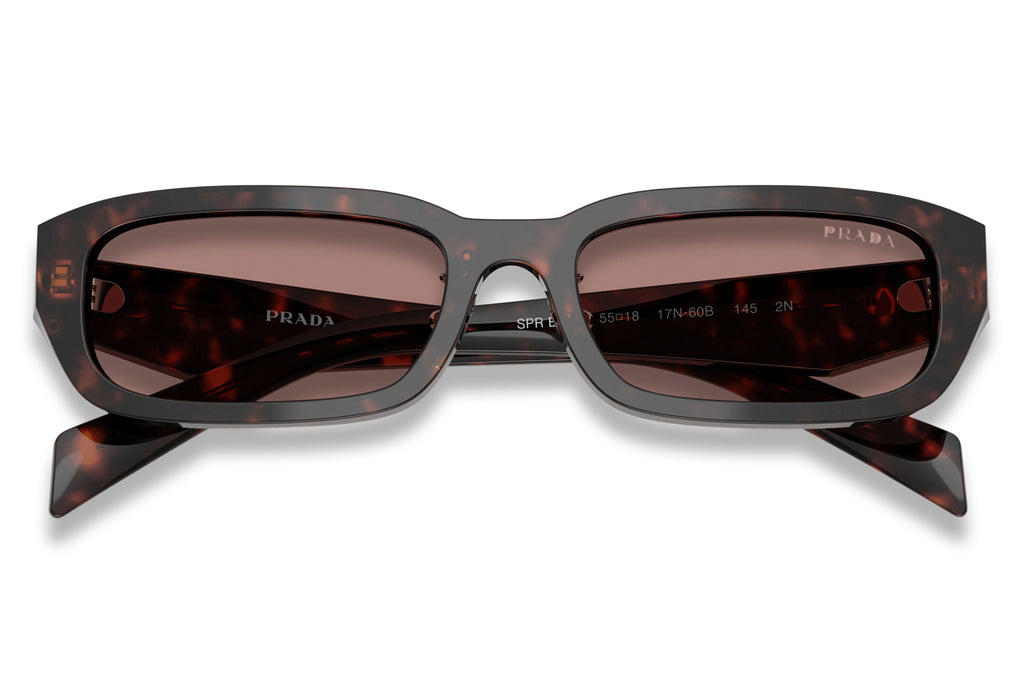 Prada - PR B06SF Sunglasses Root Tortoise with Light Brown Lenses (17N60B)