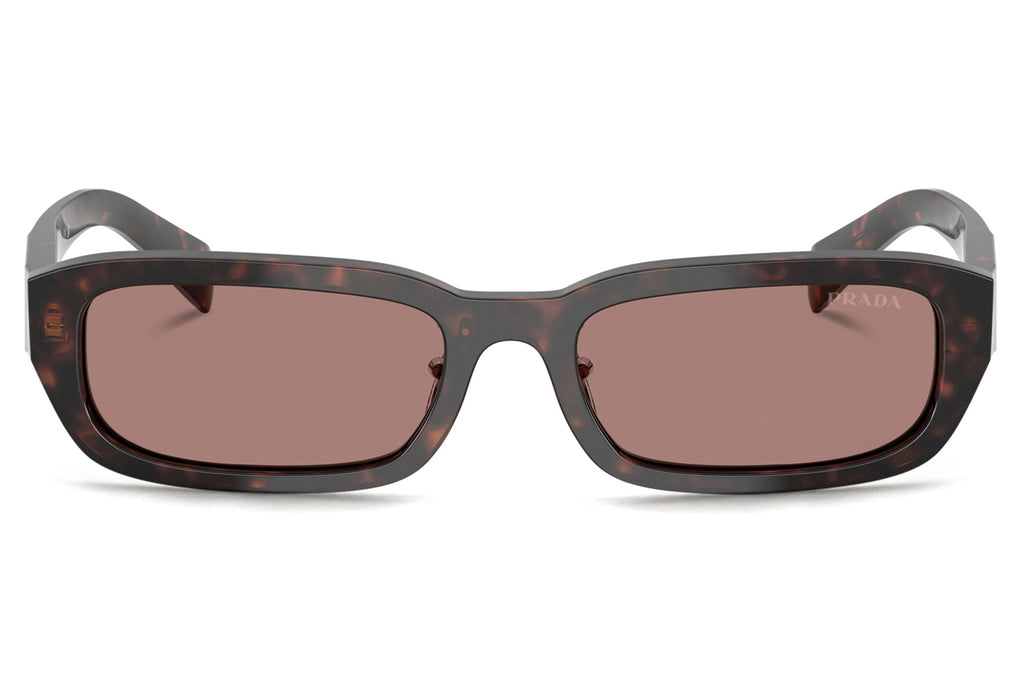Prada - PR B06SF Sunglasses Root Tortoise with Light Brown Lenses (17N60B)