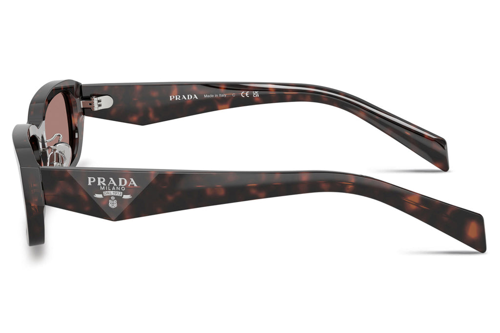 Prada - PR B06SF Sunglasses Root Tortoise with Light Brown Lenses (17N60B)