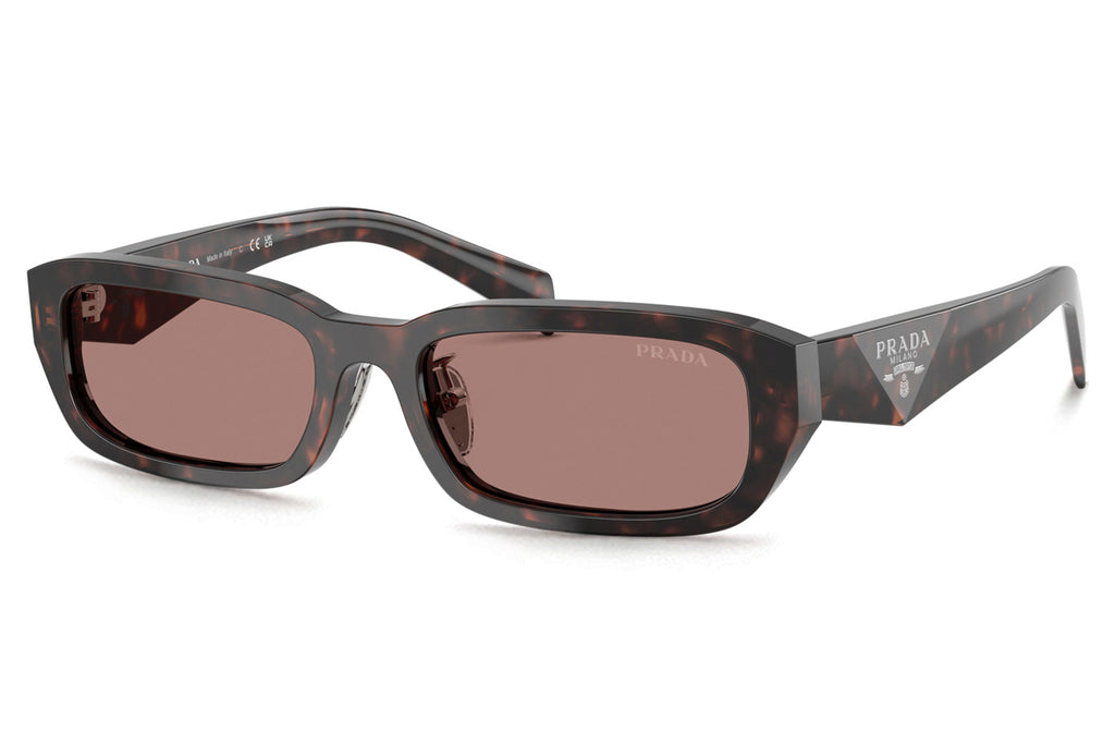 Prada - PR B06SF Sunglasses Root Tortoise with Light Brown Lenses (17N60B)