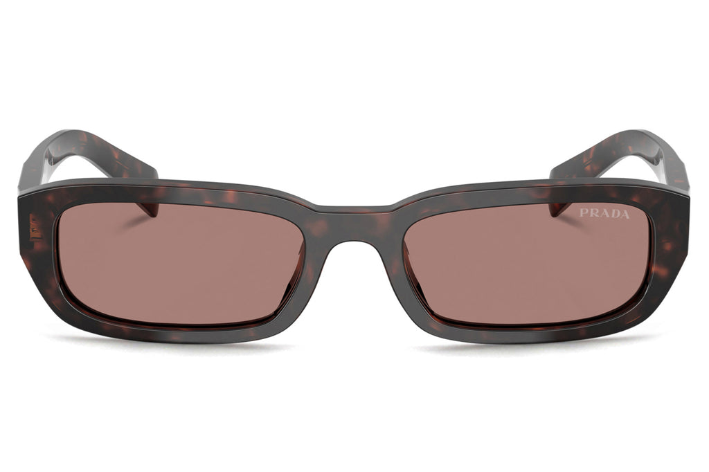 Prada - PR B06S Sunglasses Root Tortoise with Light Brown Lenses (17N60B)