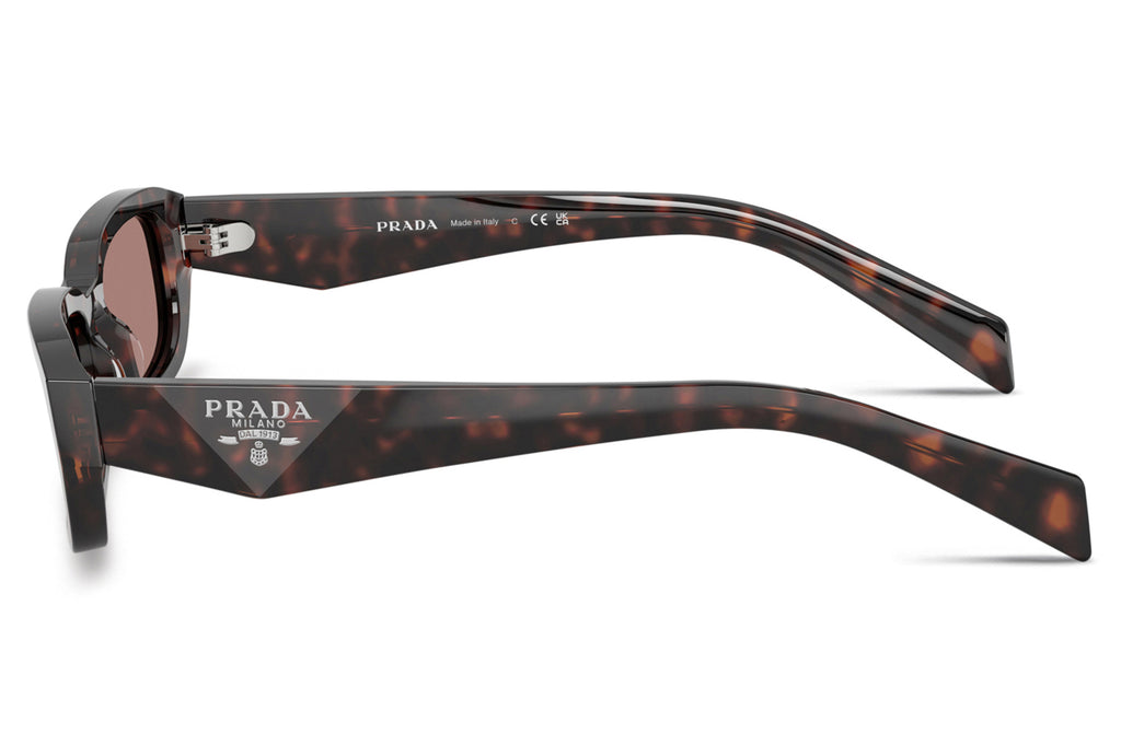 Prada - PR B06S Sunglasses Root Tortoise with Light Brown Lenses (17N60B)